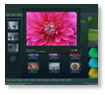 View Lytebox Website Templates