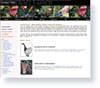 Allwebco Sample Website